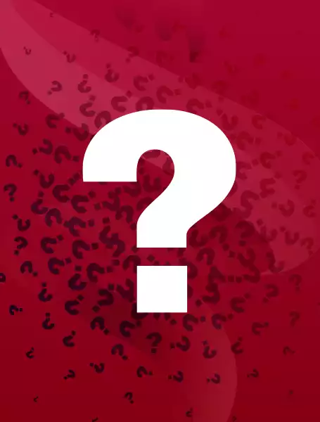 banner-image